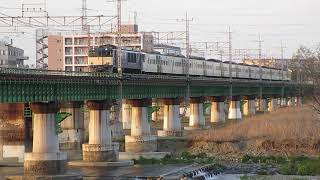 EF64-1031 185系 A3編成 廃車 NN配給 立川～日野 多摩川橋梁 2021/03/24 大幅遅れ マニア線路立ち入り 虫  長野配給 中央本線 侵入 踊り子 長岡車両センター