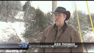 Tree Trimming Policy Minimizes Outages