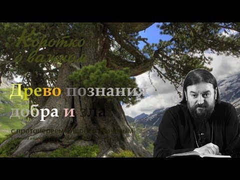 Древо познания добра и зла. о. Андрей Ткачев Зачем оно нужно?