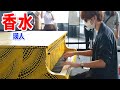 【都庁ピアノ】「香水」を弾いてみた byよみぃ　Japanese Street Piano Performance ＂Kosui＂:w32:h24