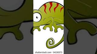 Abc Animal A-G Part 3