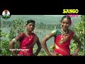 Aao Maay Wo || Adiwasi Gondi Video Song HD || Pandurang Meshram Present