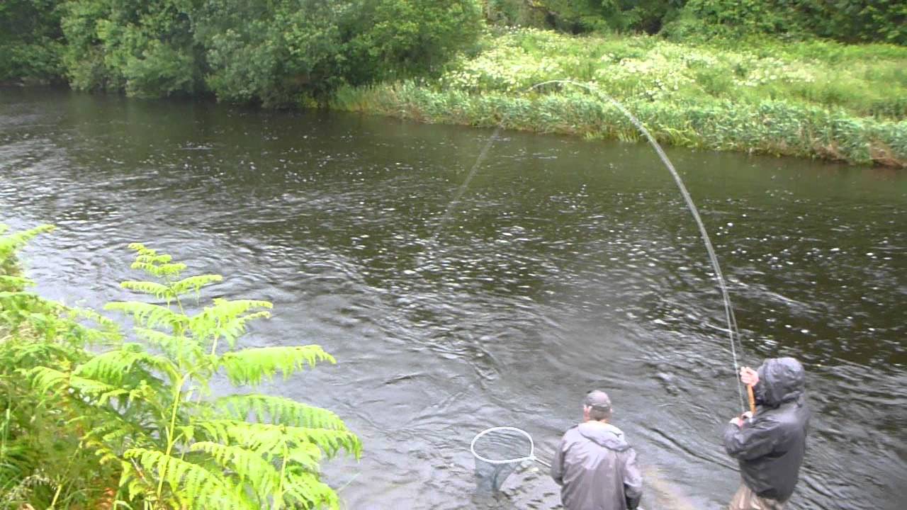 Salmon fishing on the Bandon River. (Clonakilty bass angling guide