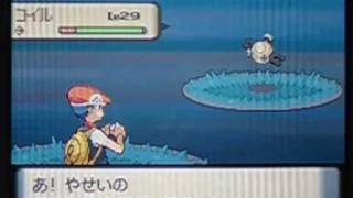 ポケトレ連鎖 05 色違いコイル出現 ポケモンダイヤモンド パール Pokemon Diamond Pearl Shiny Magnemite Appeared Youtube