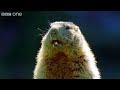 Sharon & Ozzy Gophers - Walk On The Wild Side Highlight - BBC One