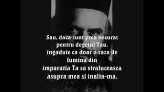 Omul absolut, Ultim- termen folosit de episcopul Nicolai
Velimirovici pentru a-L numi pe Iisus Hristos drept Fiu al lui
Dumnezeu, ca pe Noul Adam, omul ideal, total, desăvârşit care posedă
firea cu