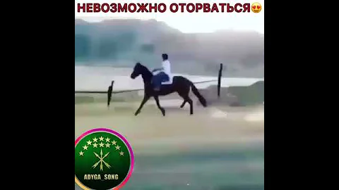 Самый быстрый конь