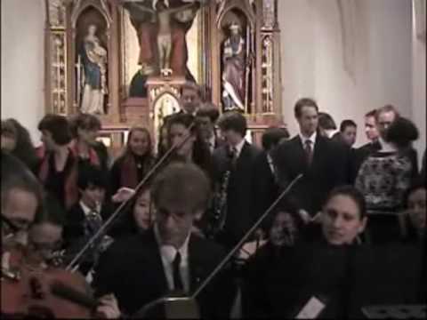 Il coro a Vienna