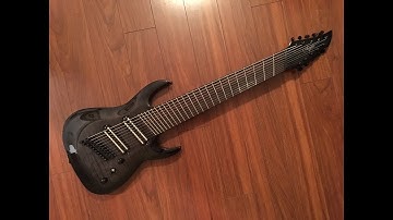 UNBIASED GEAR REVIEW -  Agile Pendulum Pro 102730 10-string guitar