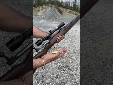 Video: Gamo Hunter 1250 šautuvas: apžvalga, specifikacijos ir nuotraukos