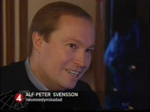 TV4 Nyheterna 2002-11-17