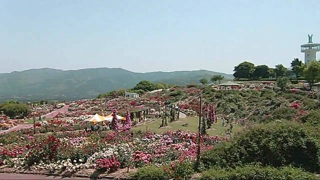 かのやばら園 鹿児島県鹿屋市観光スポット Youtube