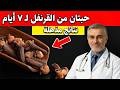 مفاجأة بعد 7 أيام من تناول القرنفل 🌿 شاهد ماذا حدث!
