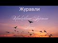 🎧🎶Журавли (Марк Бернес)- cover/Владислава