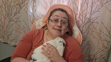 Breeding Rabbits Responsibly - Breeding a Red-eyed White Rabbit (REW) To a Blue-Eyed White (BEW)