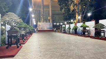 Nhiều tác phẩm bonsai đẹp , đang tụ hội về quy Nhơn , Bình Định.