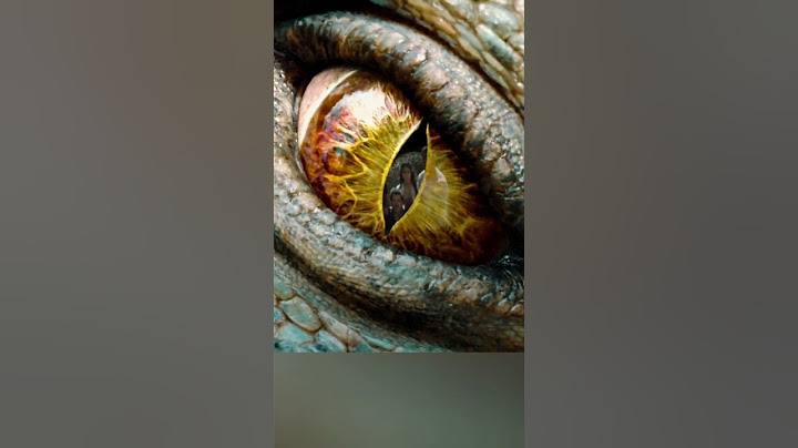Broke A Giant Lizard's Egg | Journey 2 The Mysterious Island | #movie #film