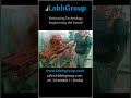 Video Image