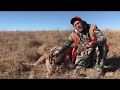 What the Buck?!