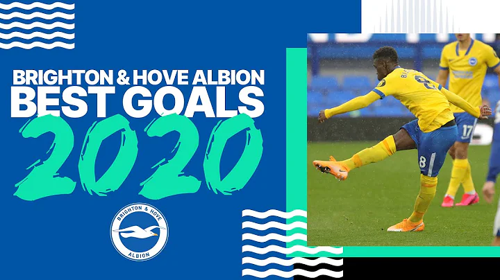 Brighton & Hove Albion's Best Goals from 2020
