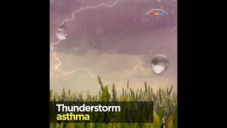 Thunderstorm asthma