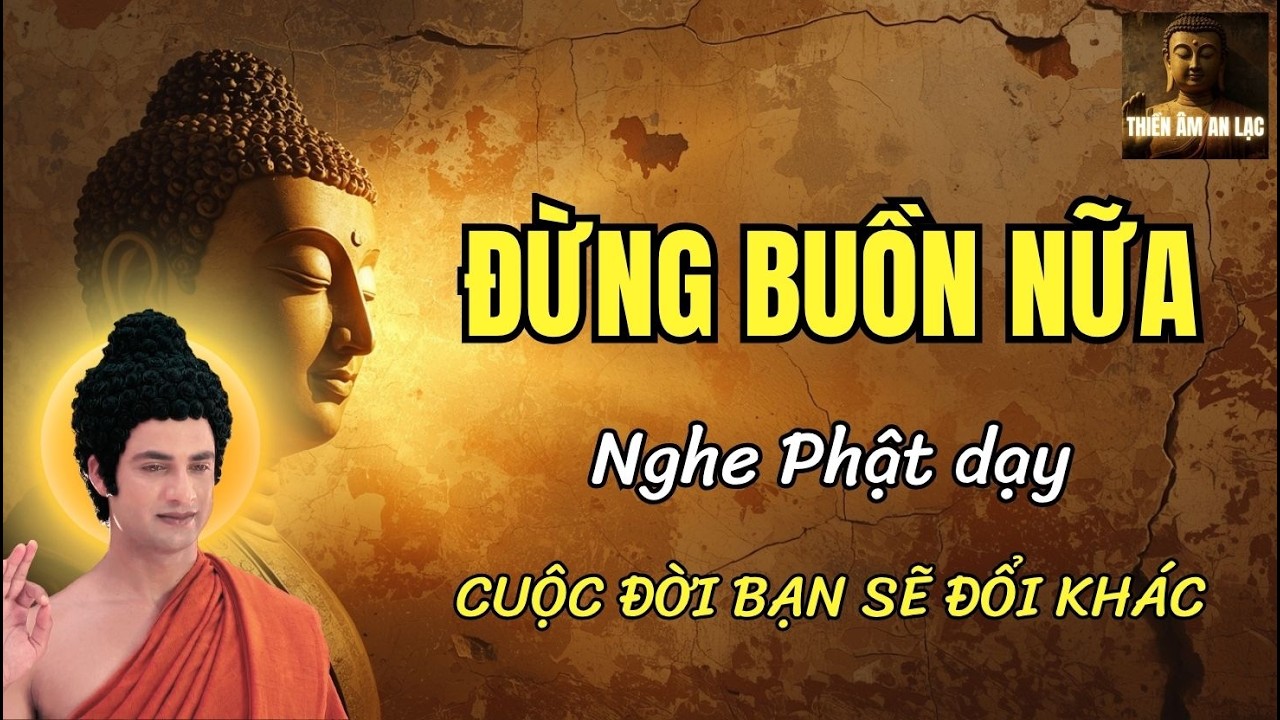 Đừng Buồn Nữa… Chỉ Cần Tĩnh Tâm Nghe Phật Dạy, Đời Bạn Sẽ Khác Đi