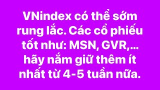 VNindex có thể sớm rung lắc. Cổ phiếu tốt như: MSN, GVR,... hãy nắm giữ thêm ít nhất 4 ~ 5 tuần nữa.