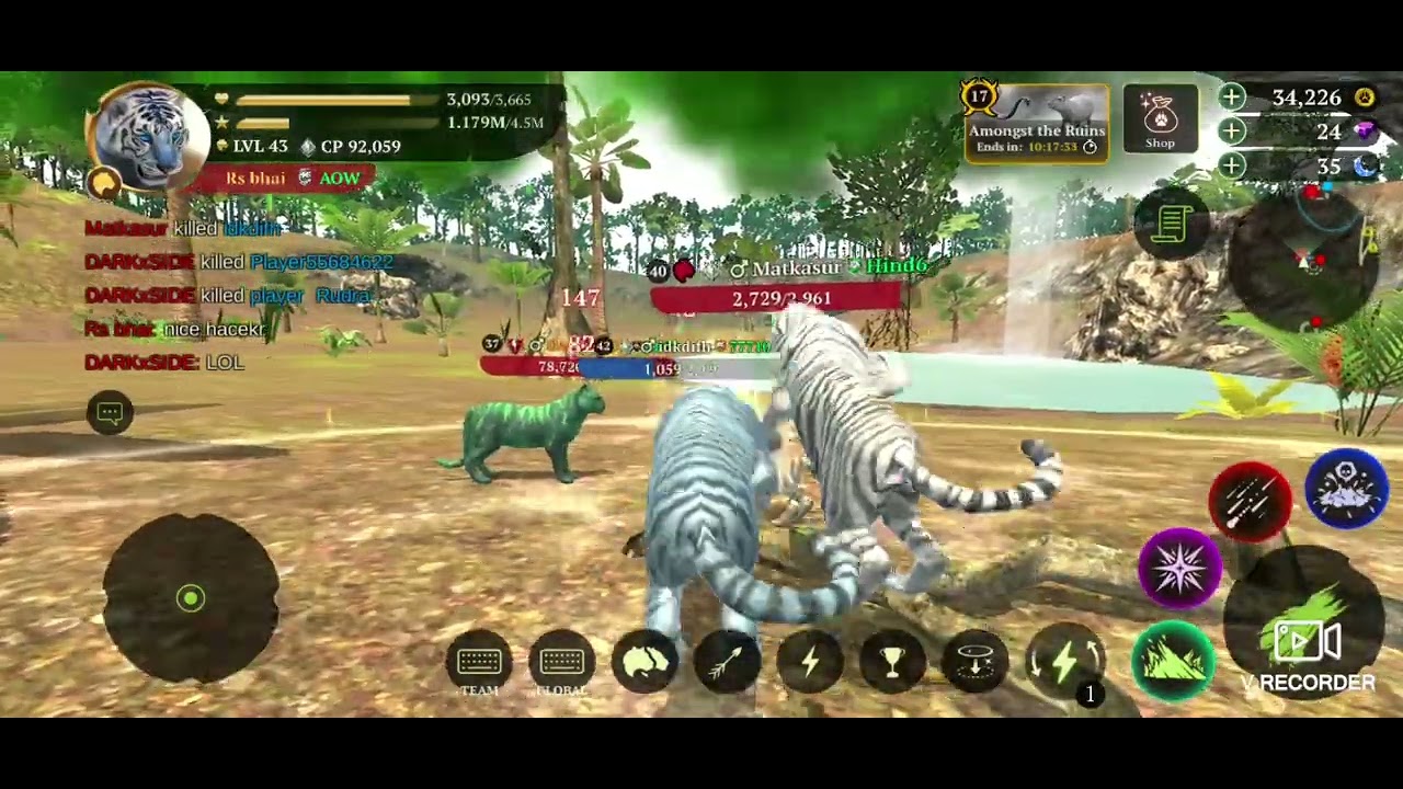 The tiger PvP I saw a hacker in my game 🤯