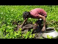 Amazing Hand Fishing Method  A Village Boy Catching Lots Of Catfish In Mud Water From River Banks.