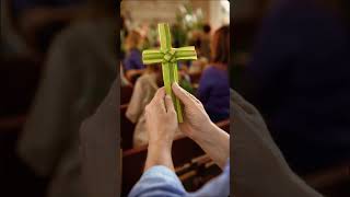 Palm Sunday Isn’t What You Think… 🌿