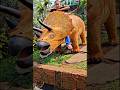 Awas teteh nyawa eskulator nya bisa terbang#cute