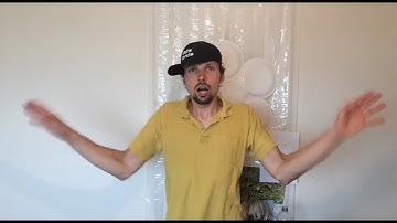 How to dance like a boss