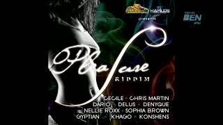 Pleasure Riddim Ft Denyque Chris Martin Konshens Gyptian Cecile And Many More