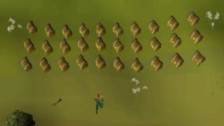 Opening 30 Hard Clue Caskets At Once!