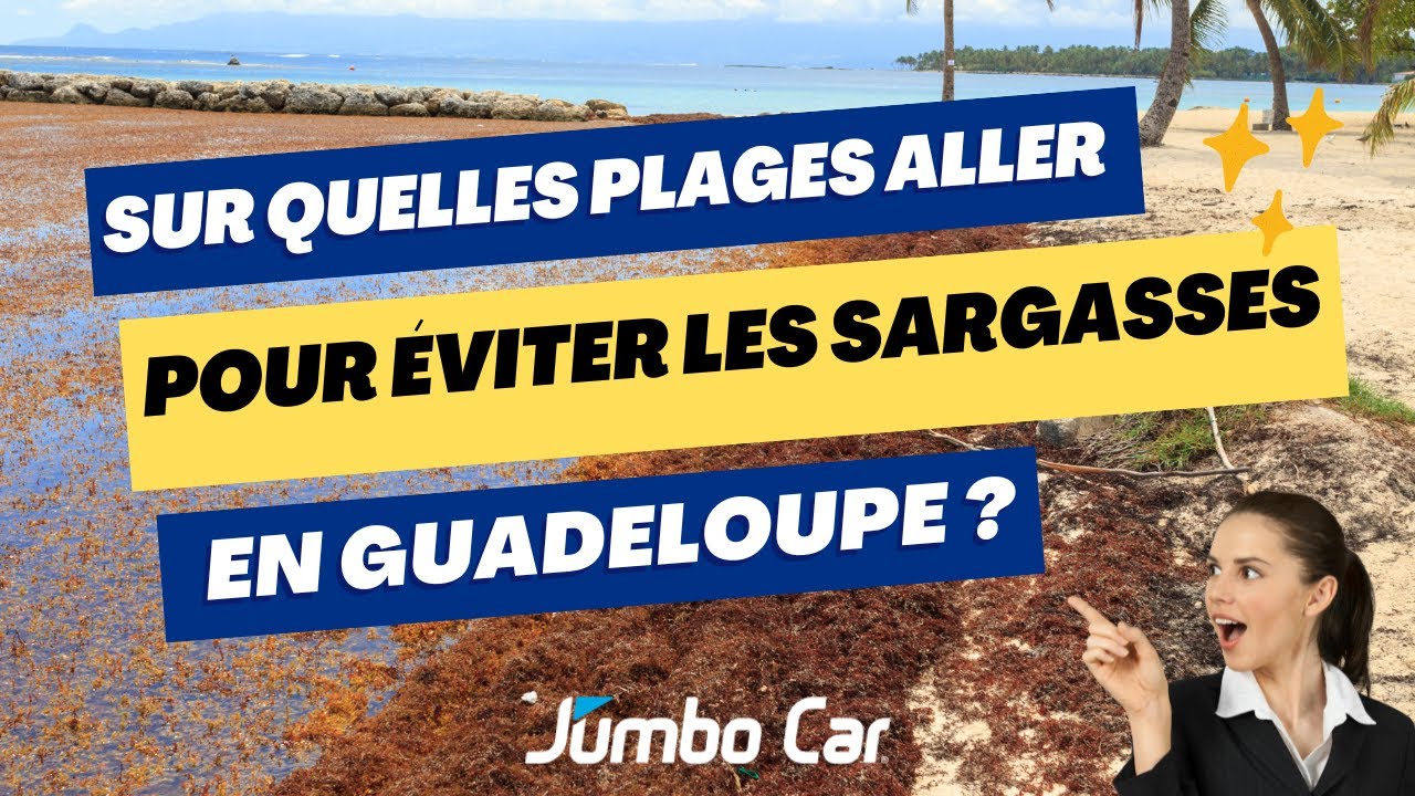 Les Sargasses en Guadeloupe Jumbo Car Guadeloupe YouTube