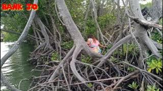 Fishing Mania||di air payau❤️