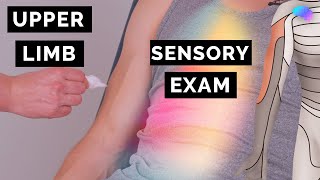 Sensory Examination of the Upper Limbs | OSCE Clip | UKMLA | CPSA