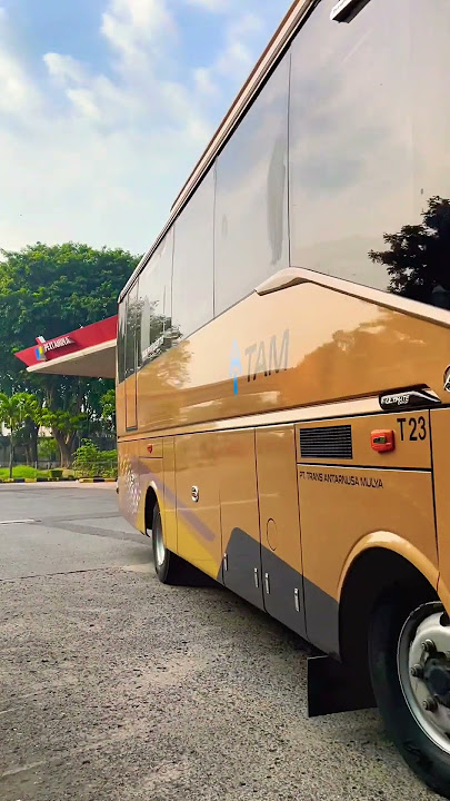 Busnya keren cu🤙 #busmania #mobilbasuri #maniabus #beranda #busbasuri #fyp