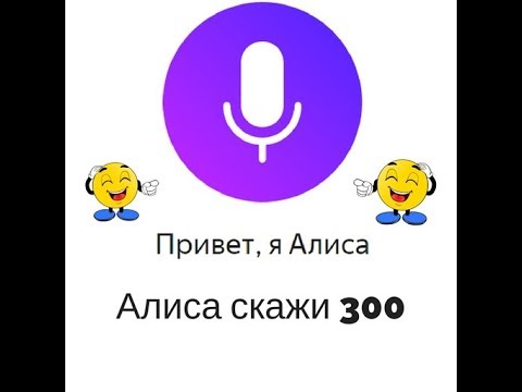 Алиса включи ищите