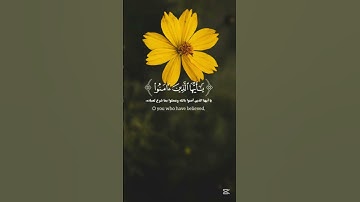 سورة الأحزاب  ا الآية ٥٦ | سعود الشريم #قرآن #سعودالشريم #سورة_الأحزاب
