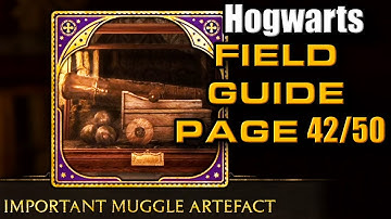 Important Muggle Artefact - Hogwarts 42/50 Field Guide Pages | Hogwarts Legacy