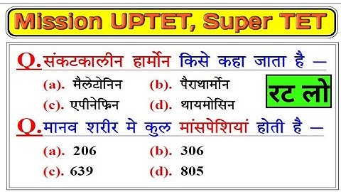 UPTET 2021 || Super TET EVS Important Questions || Super TET || UP LEKHPAL || SSC || RRB || UPPET