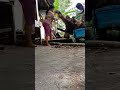 wow...keren.teknik angkat dan angkut akar.akar jati.langsung sold#shorts #keren