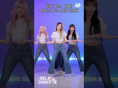 최소 2번은 보는 영상 프로미스나인