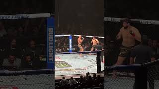 Ankalaev X Pereira Rematch #ufc #mma #ankalaev #pereira