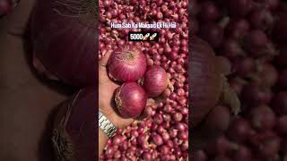 ✅ Fresh Quality Onions✅ Bulk Quantity Available✅ Export Quality Stock📞 9594308763SNS EXPORTS