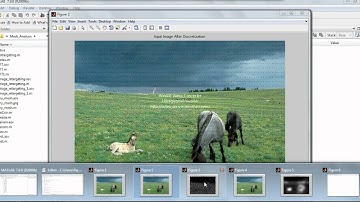 Image_Retargeting.wmv