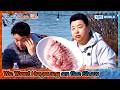 Early Morning Seafood Auction🐟 [2 Days &amp; 1 Night S4 Ep321-8] | KBS WORLD TV 260419