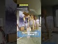 Трогонтериевый мамонт (степной мамонт) и Динотерий в Азовском музеи-заповеднике #dreamway #shorts