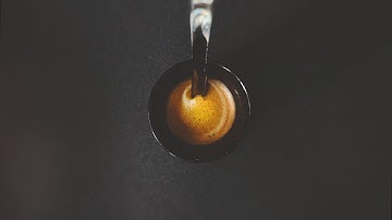 Casey - The Fog Project